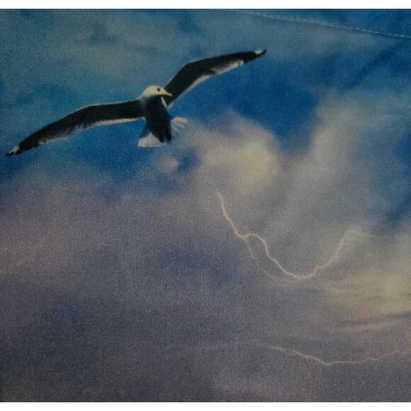 Royal Linen Source Quality Homeware Pillow Sham with Tiger on Cliff 21 x 29.5 - Picture 3 of 10